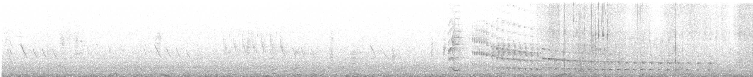 Sora - ML639222212
