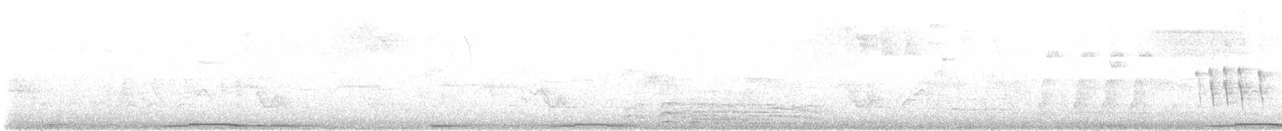Zenaida Dove - ML639224264