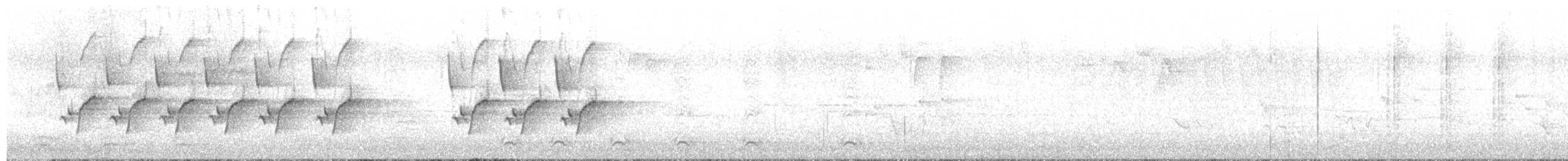 Carolina Wren - ML639227674