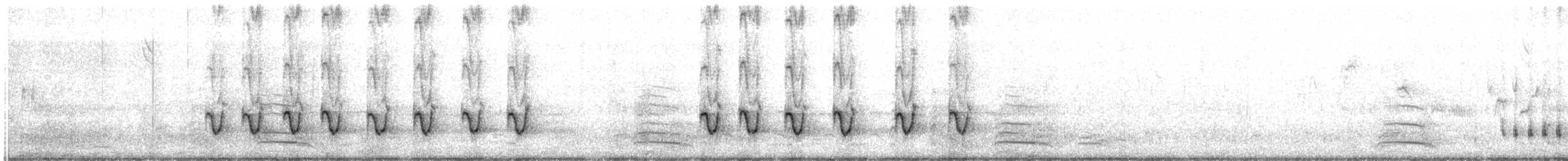 Northern Mockingbird - ML639228045