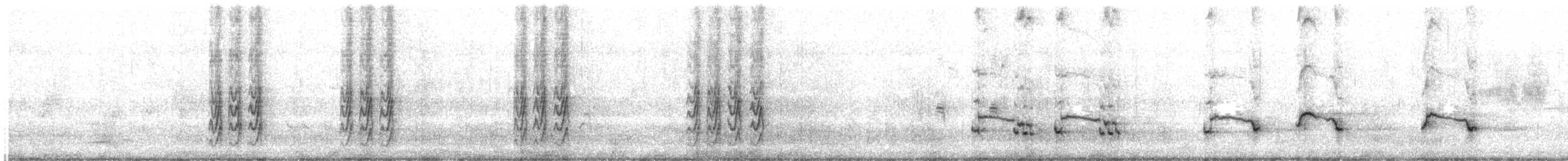 Northern Mockingbird - ML639228046