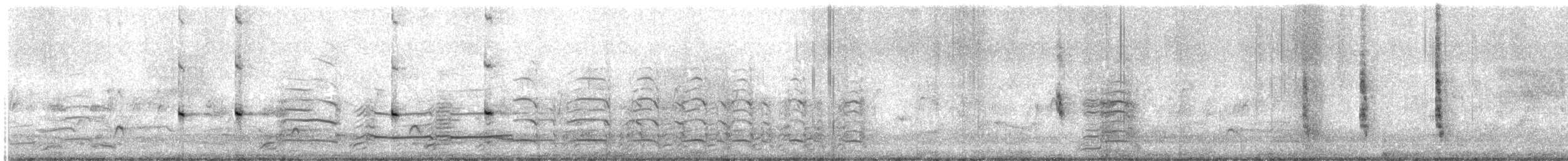 Northern Mockingbird - ML639228047