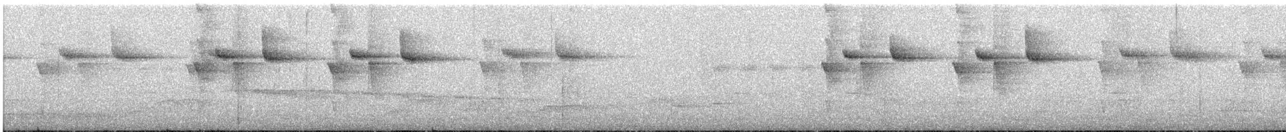 Длиннохвостый колибри-отшельник - ML63922951