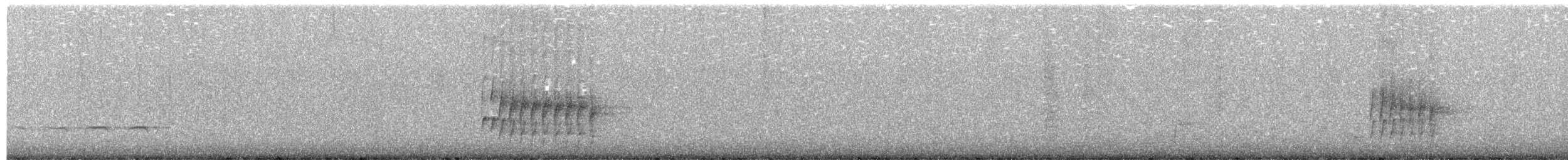 White-shouldered Fire-eye - ML639229560