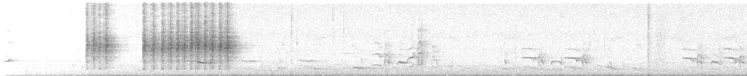 Willie-wagtail - ML639229731