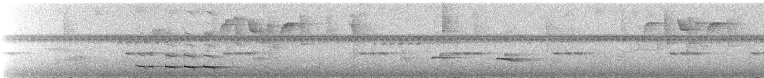 Collared Trogon (Collared) - ML639230118