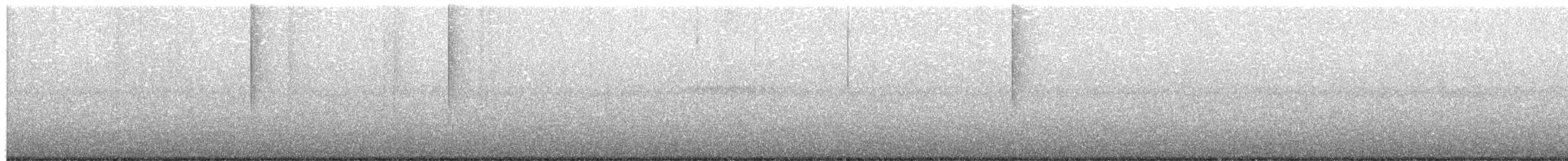 Southern Antpipit - ML639231777