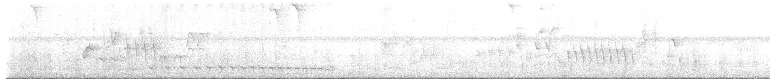 Bar-crested Antshrike - ML639232071