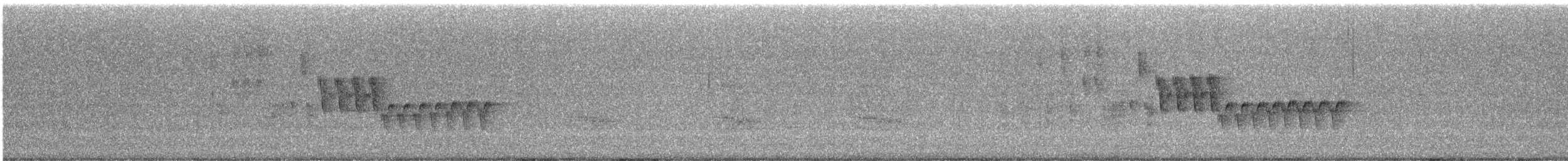 Northern House Wren - ML639232594
