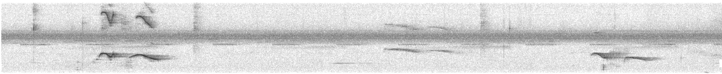 Ringed Antpipit - ML639234618