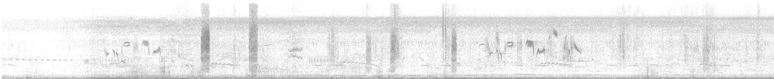 White-tailed Stonechat - ML639236403
