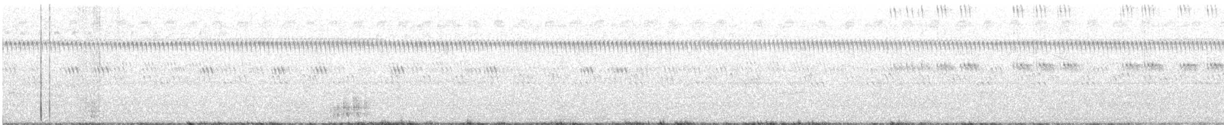 ハシグロカッコウ - ML639236940