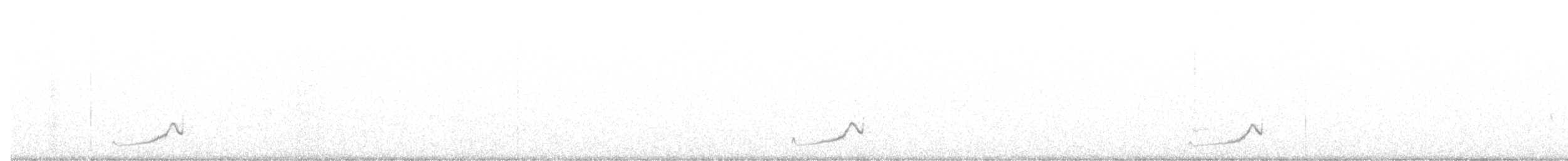 Snowy Plover - ML639237823