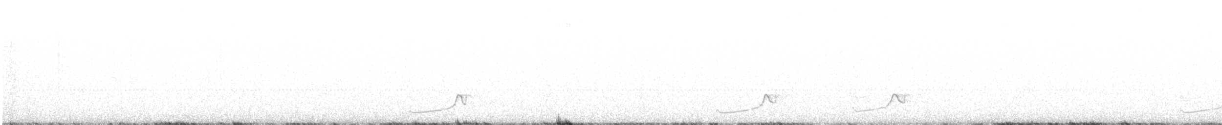 Snowy Plover - ML639237824