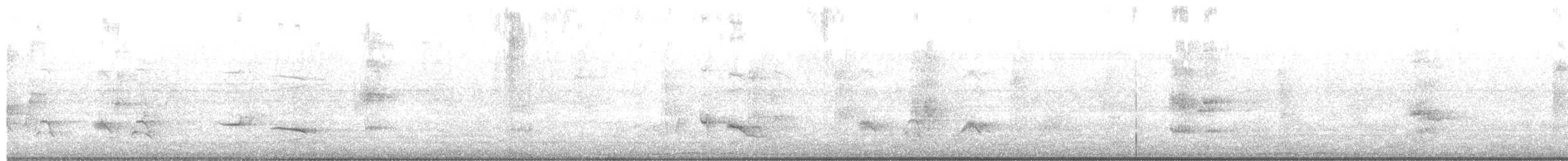 Fork-tailed Drongo - ML639238813