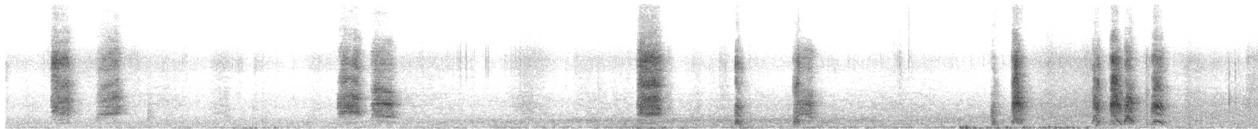 Apôtre gris - ML639240234