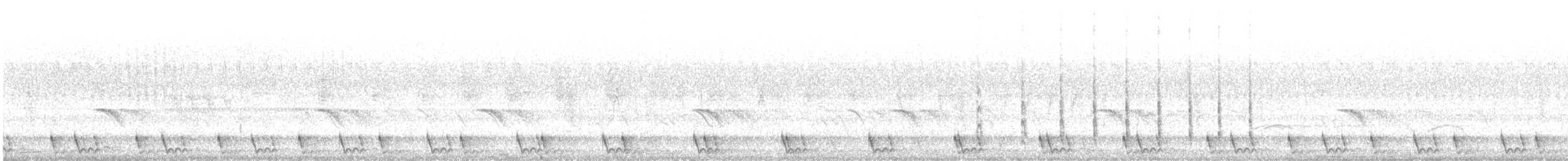 Large-tailed Nightjar - ML639241076