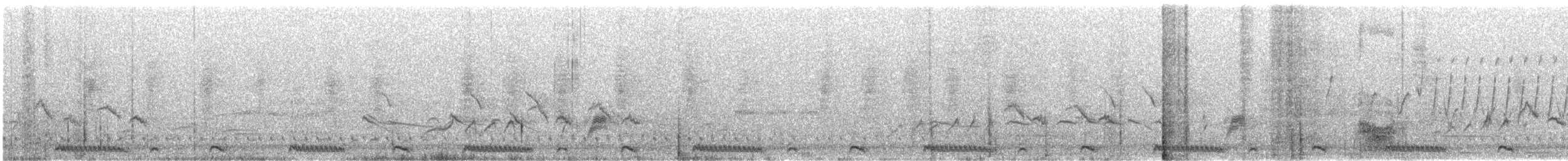Ring-necked Dove - ML639244071