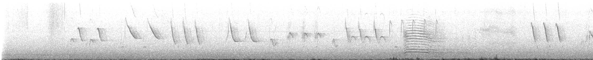 African Pied Wagtail - ML639244864