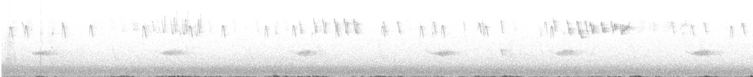 Goldcrest (Tenerife) - ML639245424