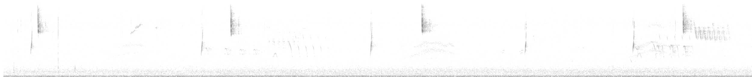 Moucherolle gris - ML639245934