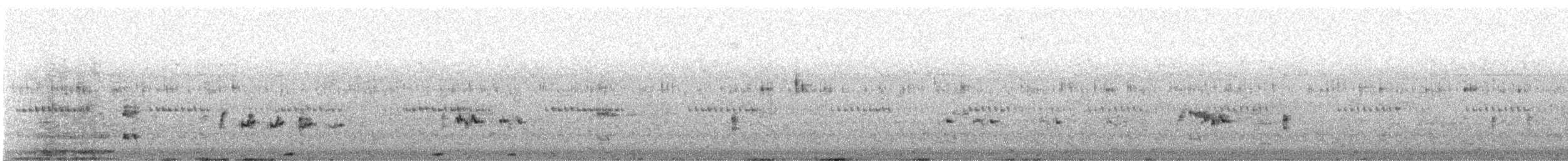 Lesser Coucal - ML639246897