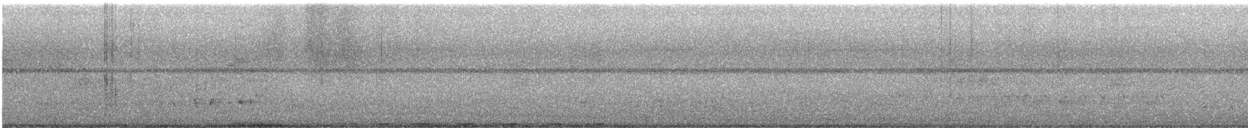 Greater Coucal - ML639247213