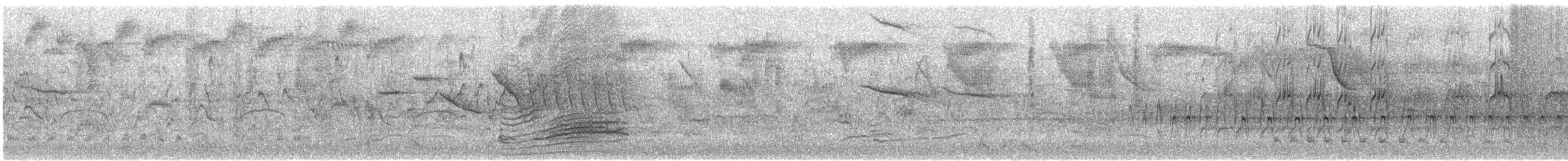 クビワコガモ - ML639247851