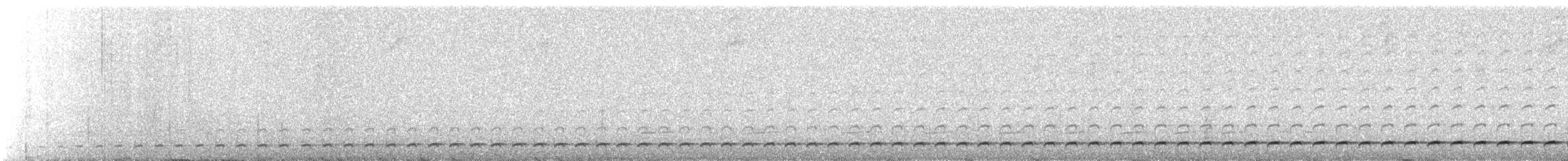 Barred Antthrush - ML639249988