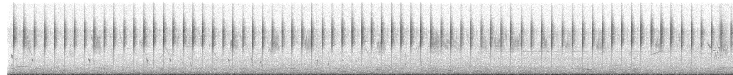 Junquero troglodyte - ML639250831
