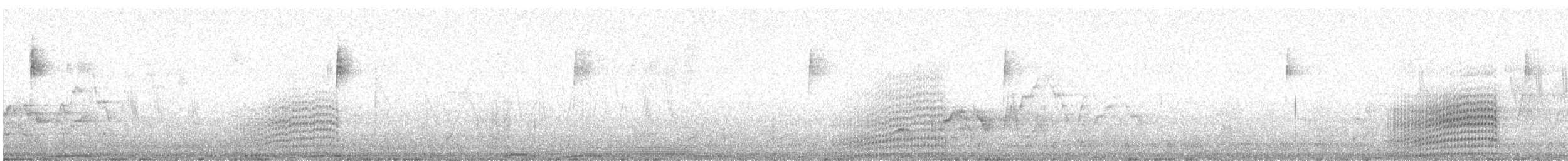 Band-tailed Pigeon - ML639255732