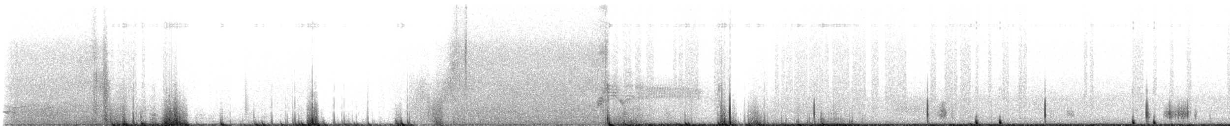 Northern Waterthrush - ML639256361