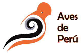 Aves de Perú