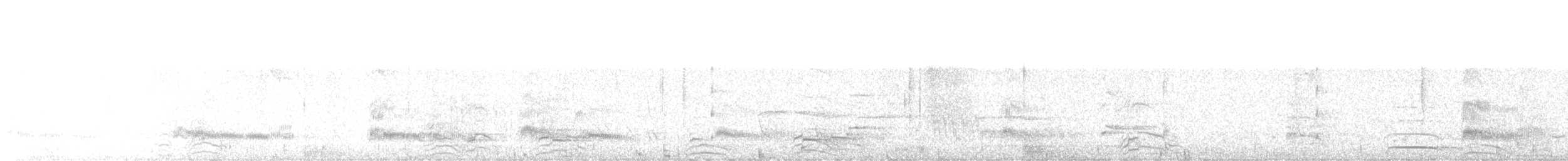 Bonaparte's Gull - ML639260893