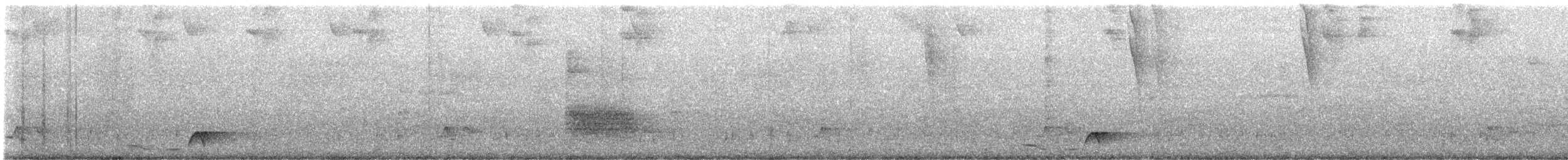 Whiskered Wren - ML639261490