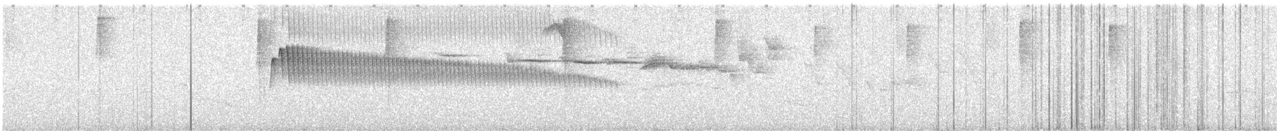 Plain-tailed Wren - ML639262591