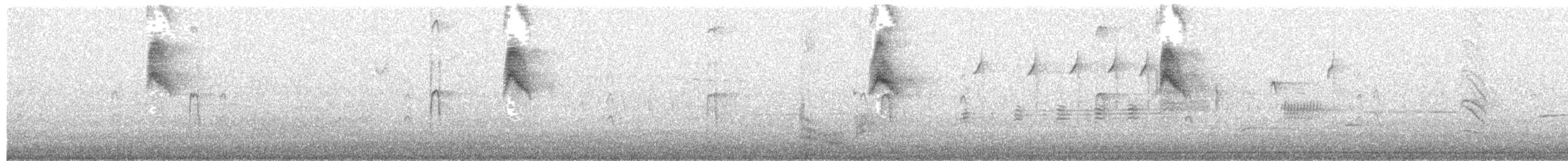 Göçmen Tiran - ML63926321