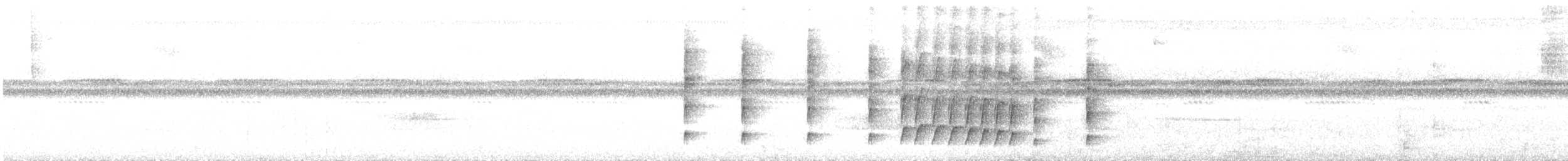Black-and-white Tody-Flycatcher - ML639264371