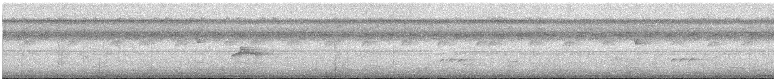 Piratic Flycatcher - ML639265033