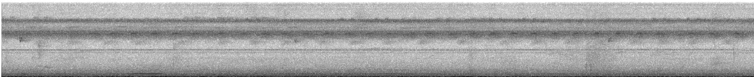 White-tipped Dove - ML639265036