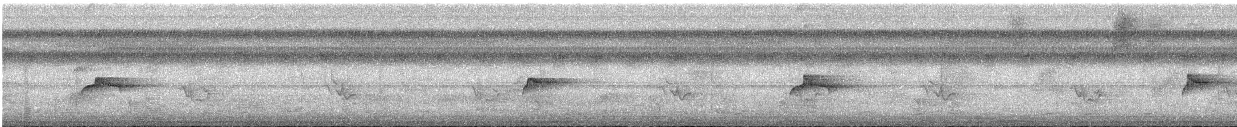 Piratic Flycatcher - ML639265056