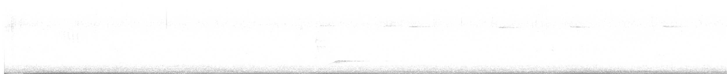 Western Wood-Pewee - ML639265827