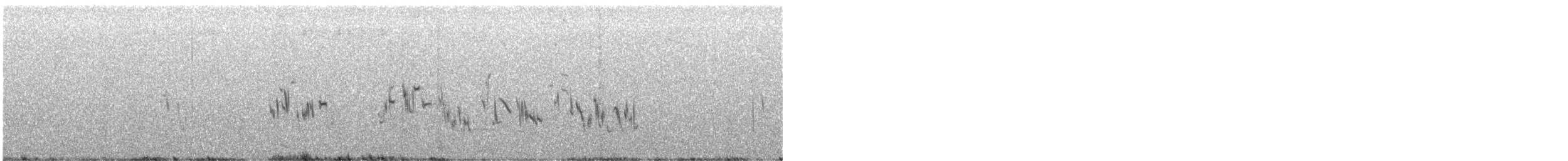 Plectrophane à ventre gris - ML639265946