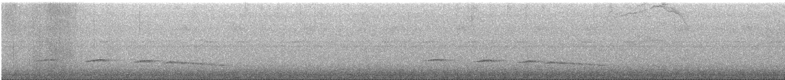 Plaintive Cuckoo - ML639269113