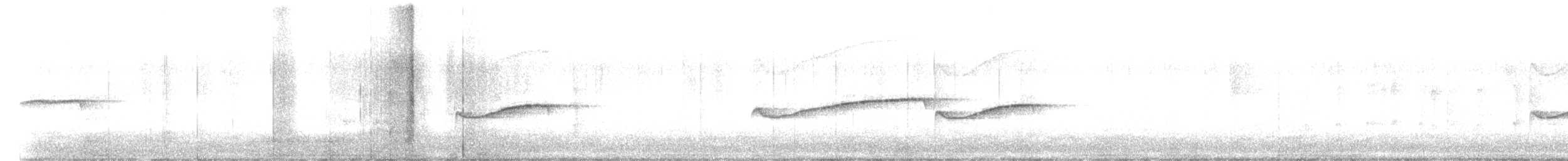 Eastern Wood-Pewee - ML639270669