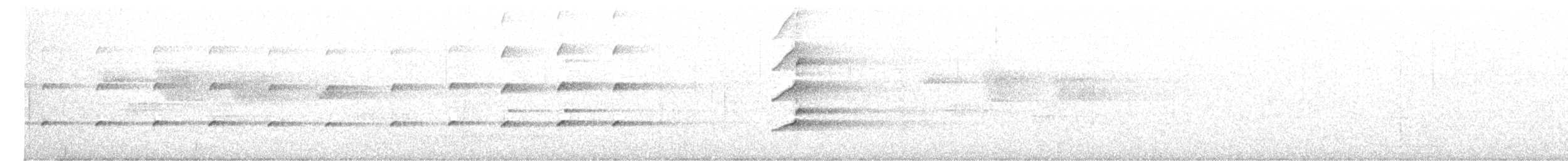 Autour blanc - ML639274336