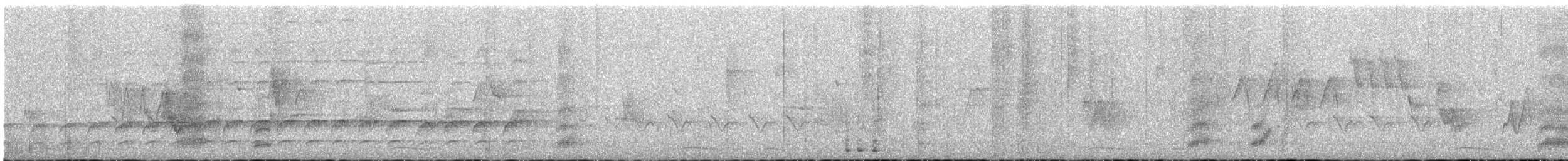 White-throated Magpie-Jay - ML639274960