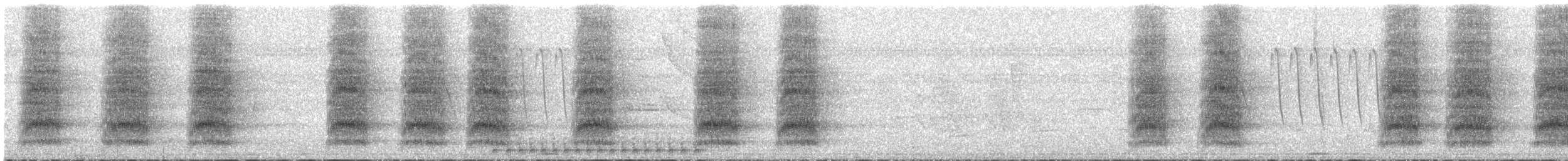 White-throated Magpie-Jay - ML639274963