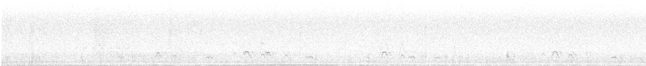 Codone - ML639275716