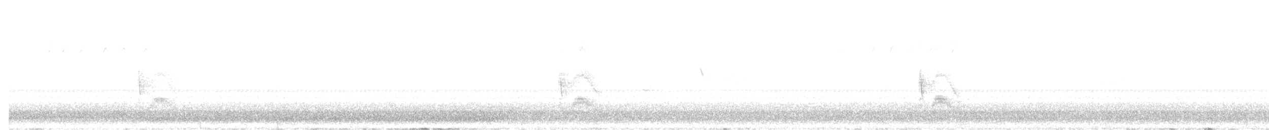 Cassin's Kingbird - ML639275894